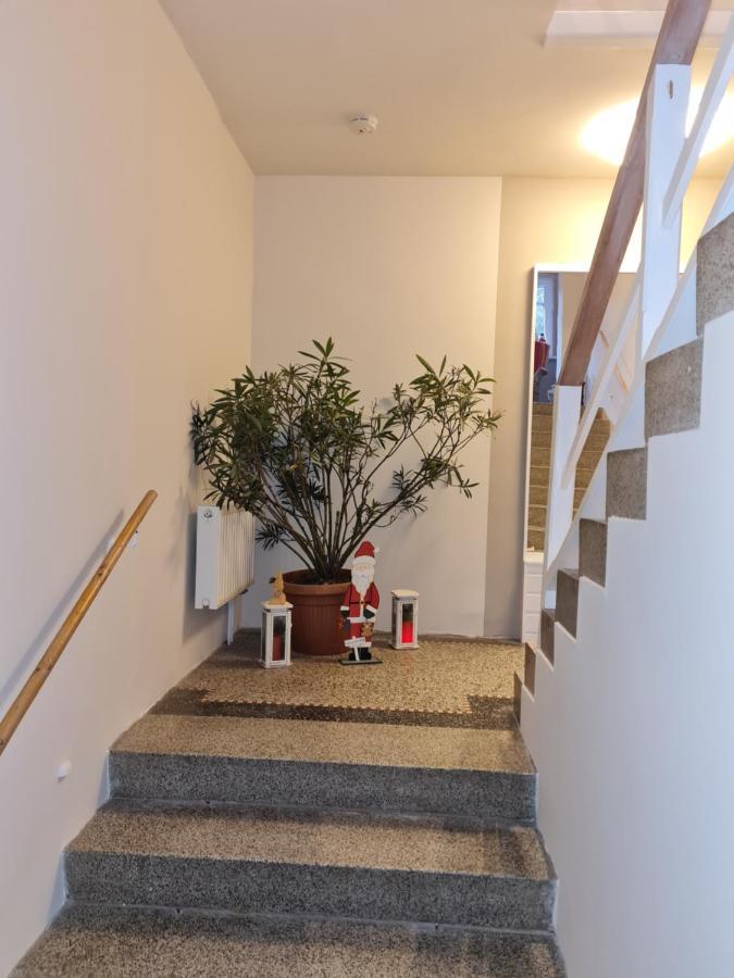 Haus Fernblick Apartment Kurort Baerenburg Ngoại thất bức ảnh