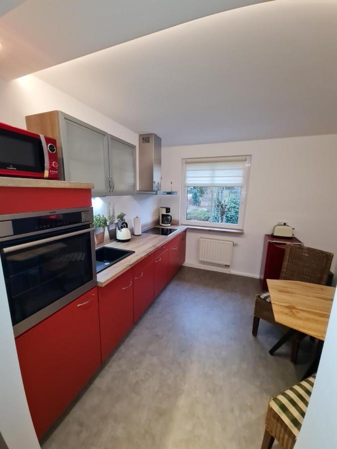 Haus Fernblick Apartment Kurort Baerenburg Ngoại thất bức ảnh
